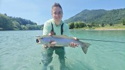 Rainbow trout 4